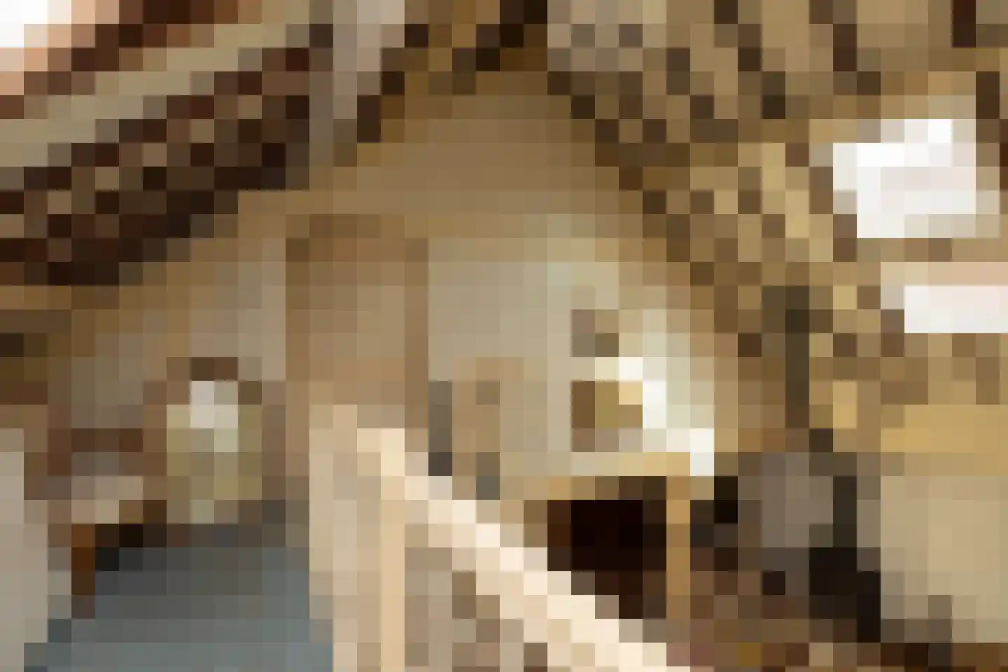 Eemdijk 21 Eemdijk thumbnail 26