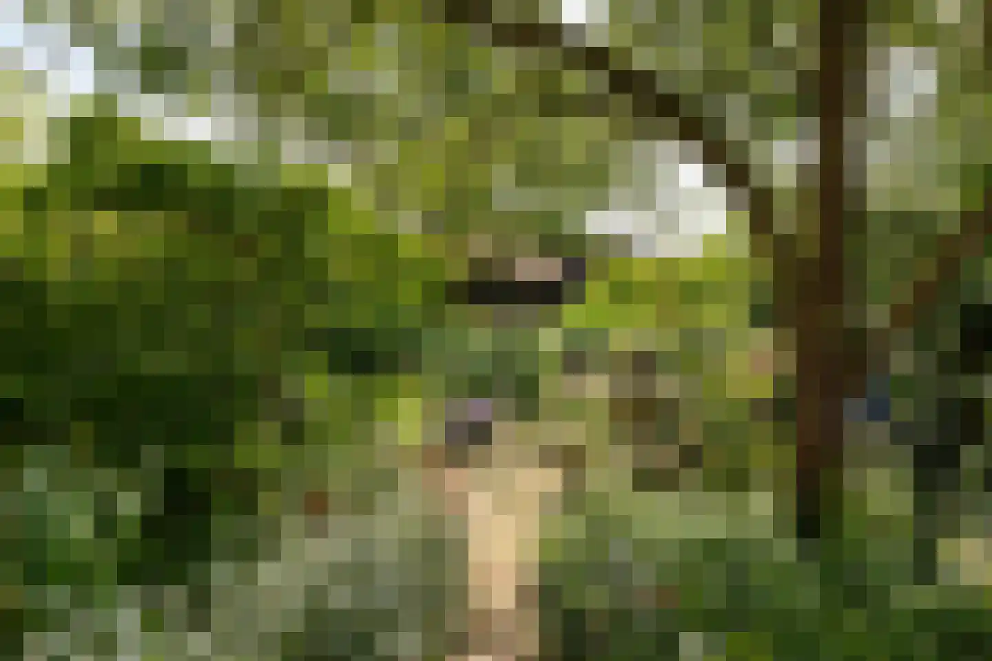 Eemdijk 21 Eemdijk thumbnail 34