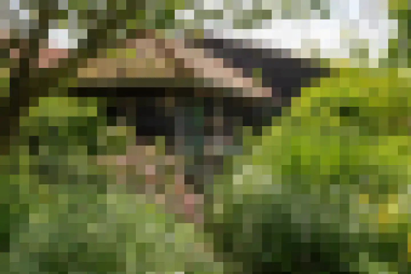 Eemdijk 21 Eemdijk thumbnail 36