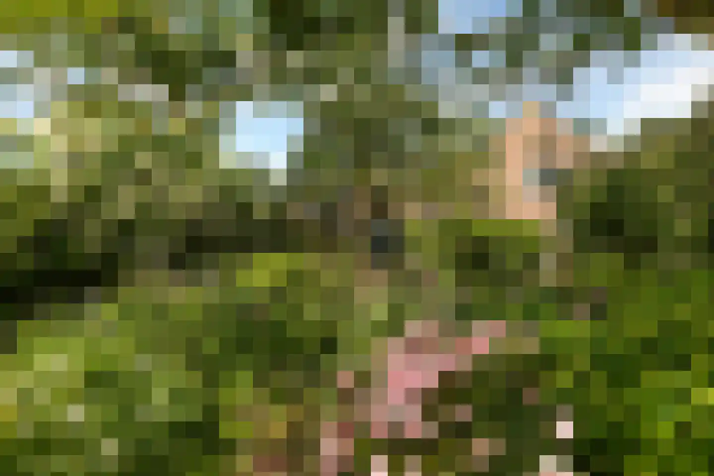 Eemdijk 21 Eemdijk thumbnail 40