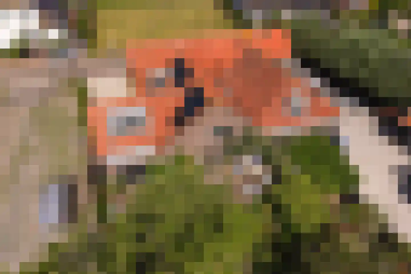 Eemdijk 21 Eemdijk thumbnail 41