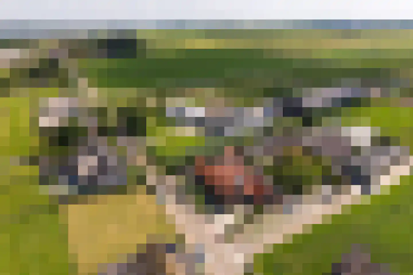 Eemdijk 21 Eemdijk thumbnail 44