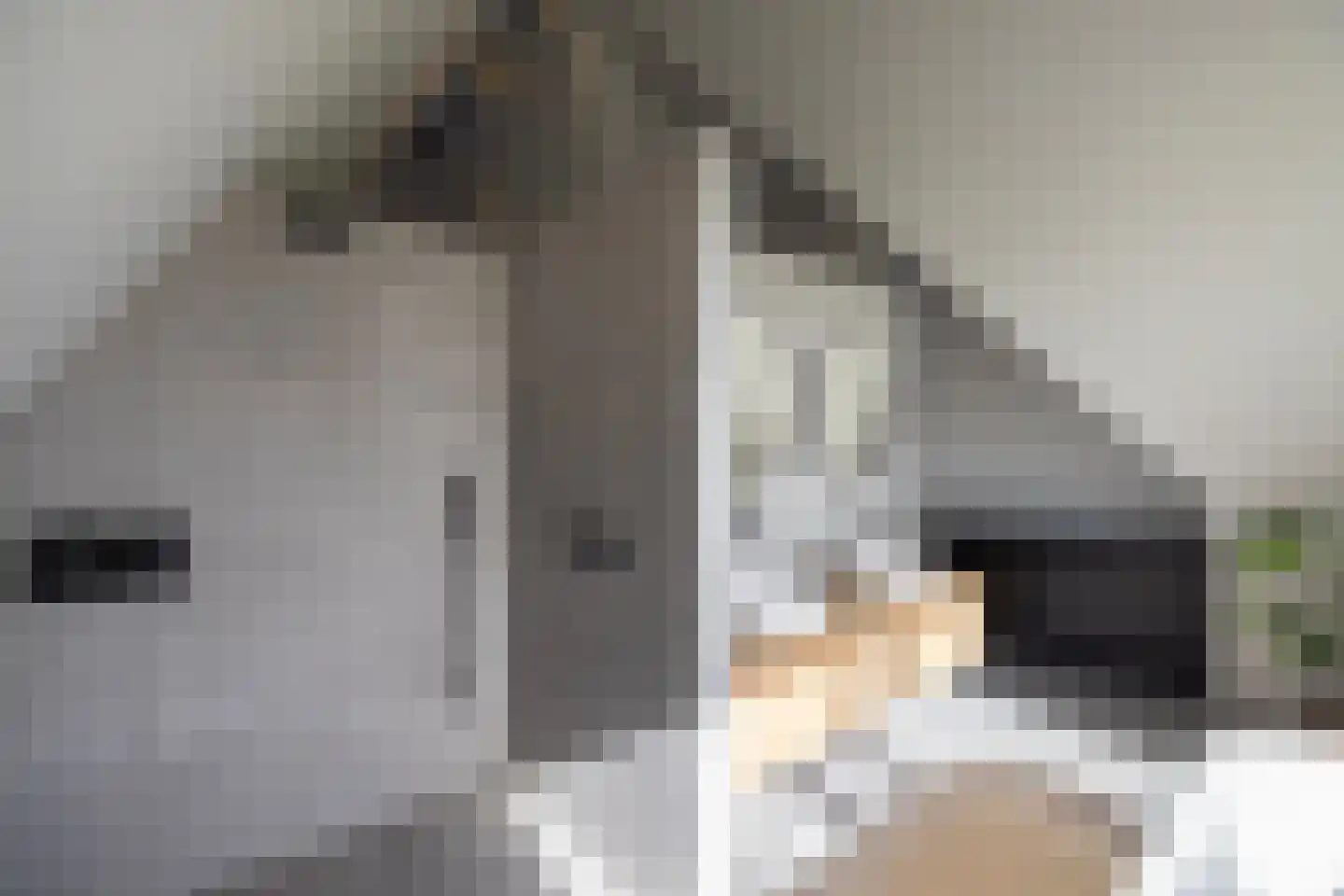 Eemdijk 26 b Eemdijk thumbnail 31