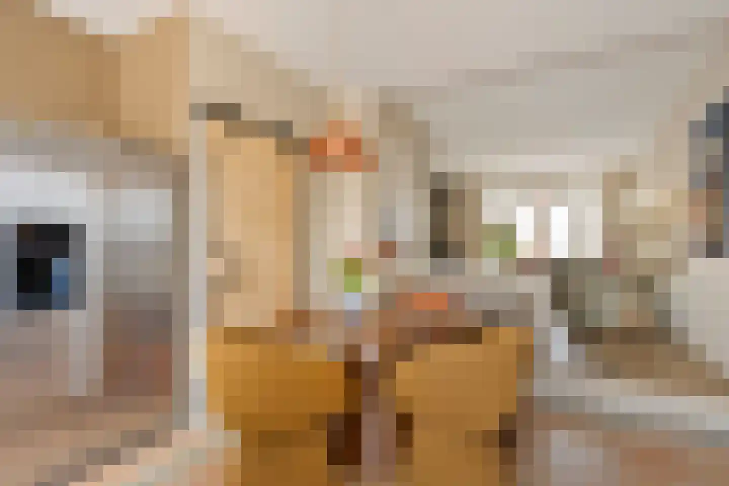 Eemdijk 42 Eemdijk thumbnail 13