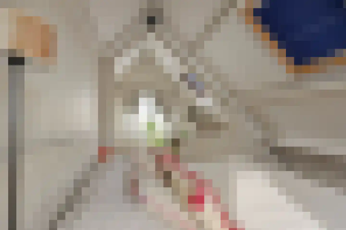 Eemdijk 42 Eemdijk thumbnail 24