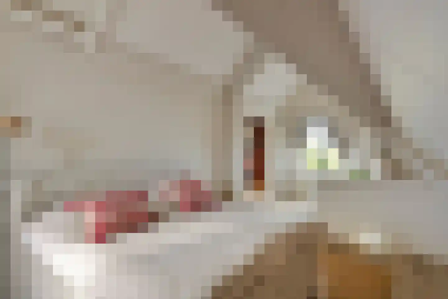 Eemdijk 42 Eemdijk thumbnail 25