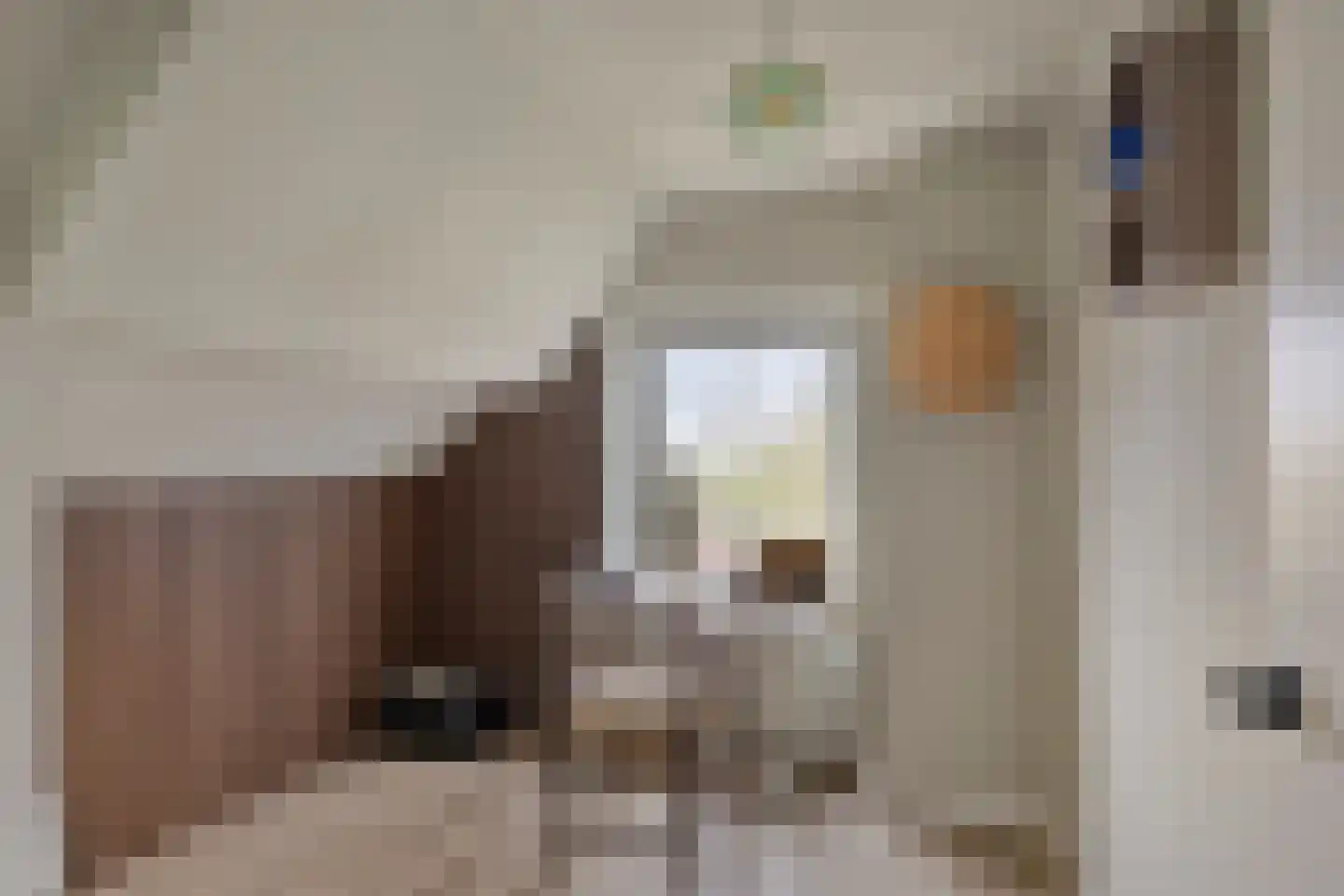 Eemdijk 42 Eemdijk thumbnail 32