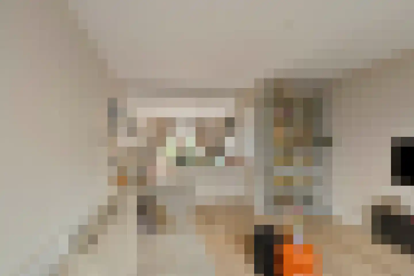 Eemdijk 42 Eemdijk thumbnail 9