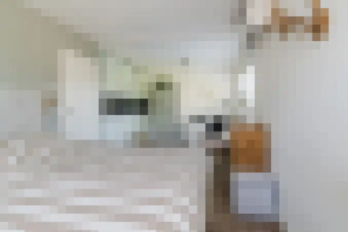 Eemkerck 28 Werkendam thumbnail 17