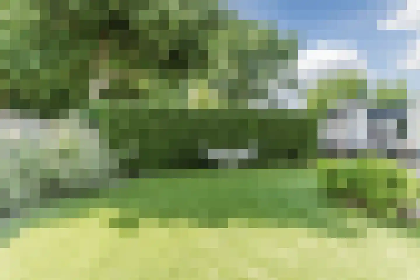 Eemkerck 28 Werkendam thumbnail 39