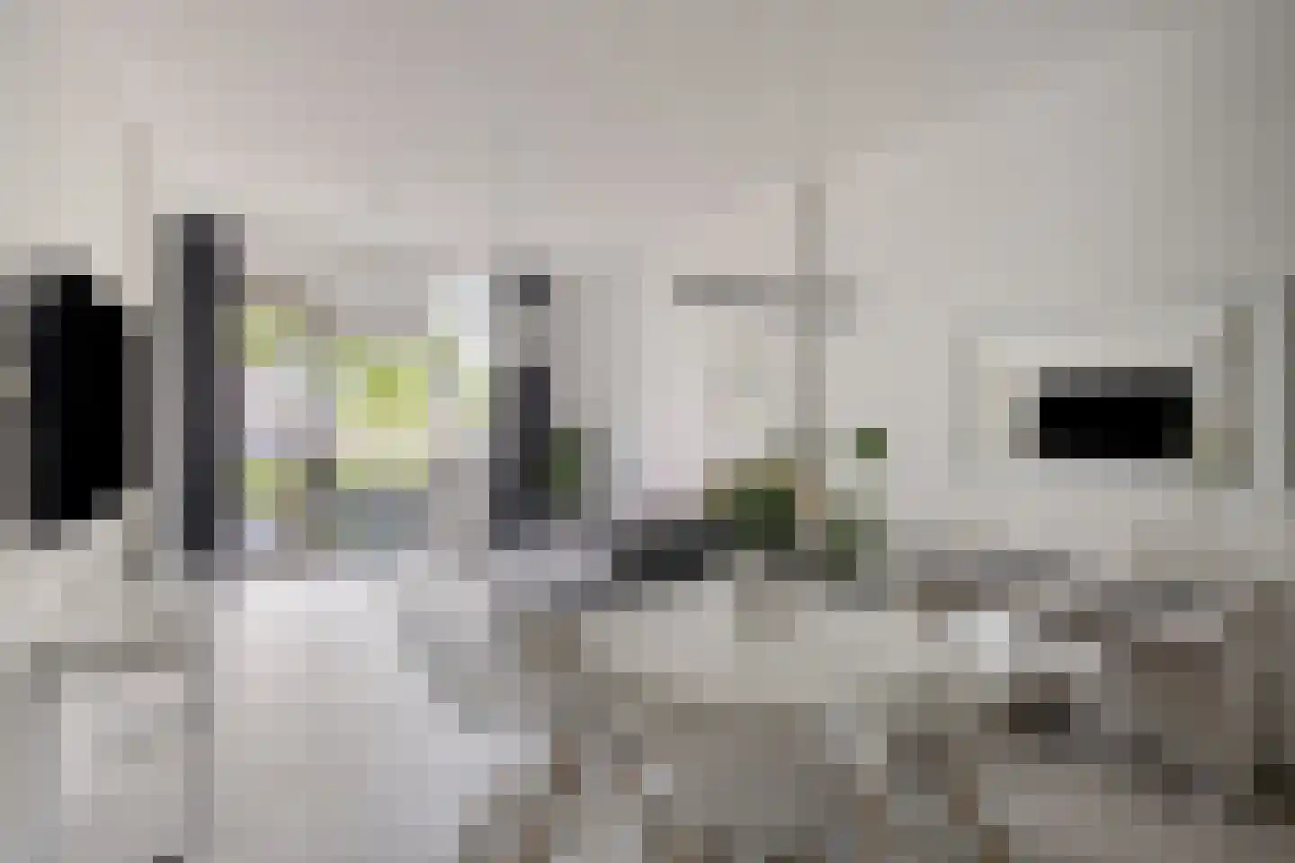 Eemlaan 1 Amersfoort thumbnail 14