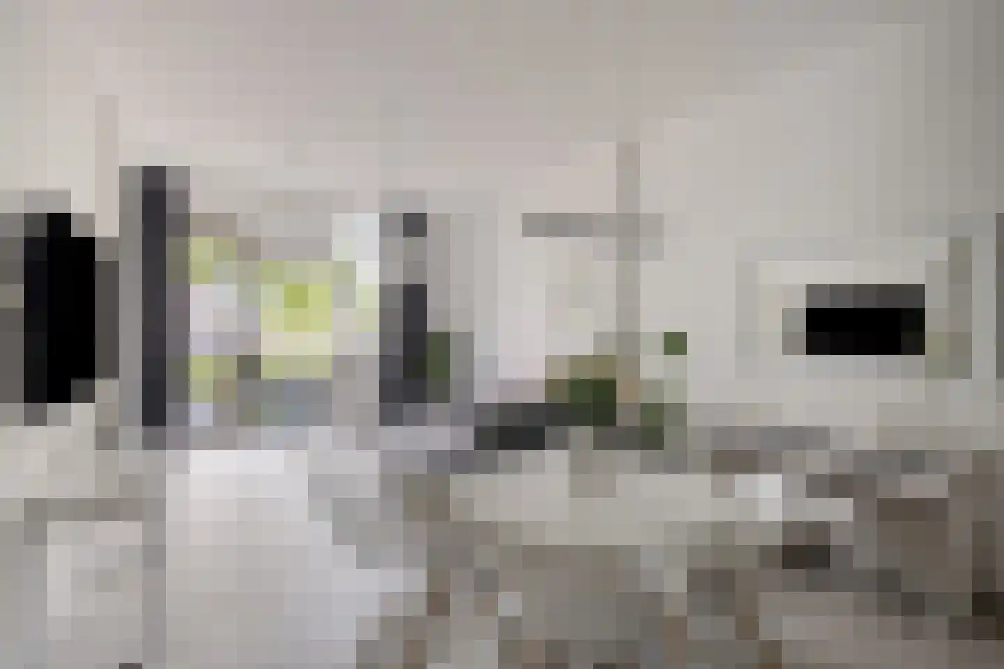Eemlaan 1 Amersfoort thumbnail 14