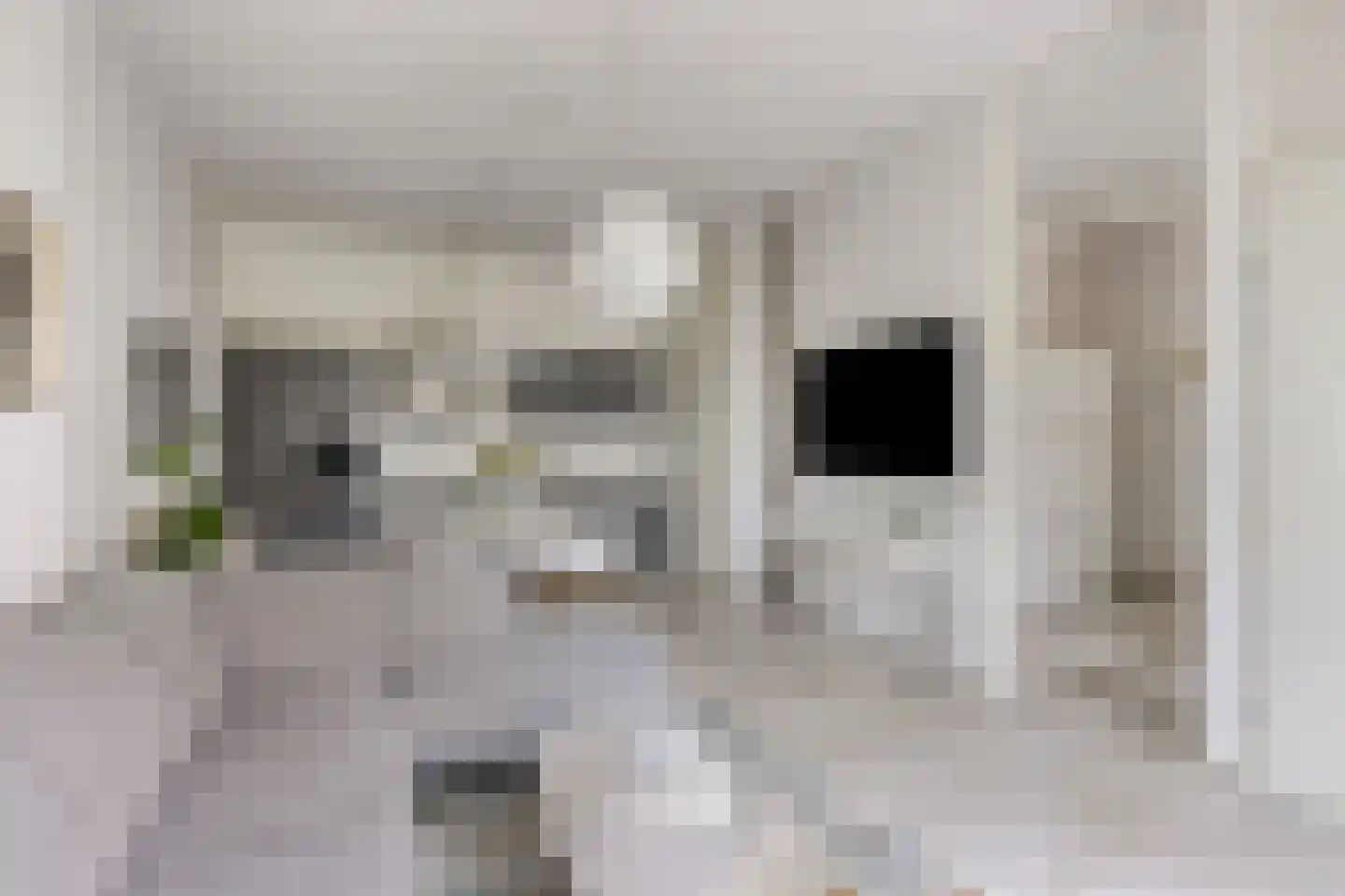 Eemlaan 1 Amersfoort thumbnail 8