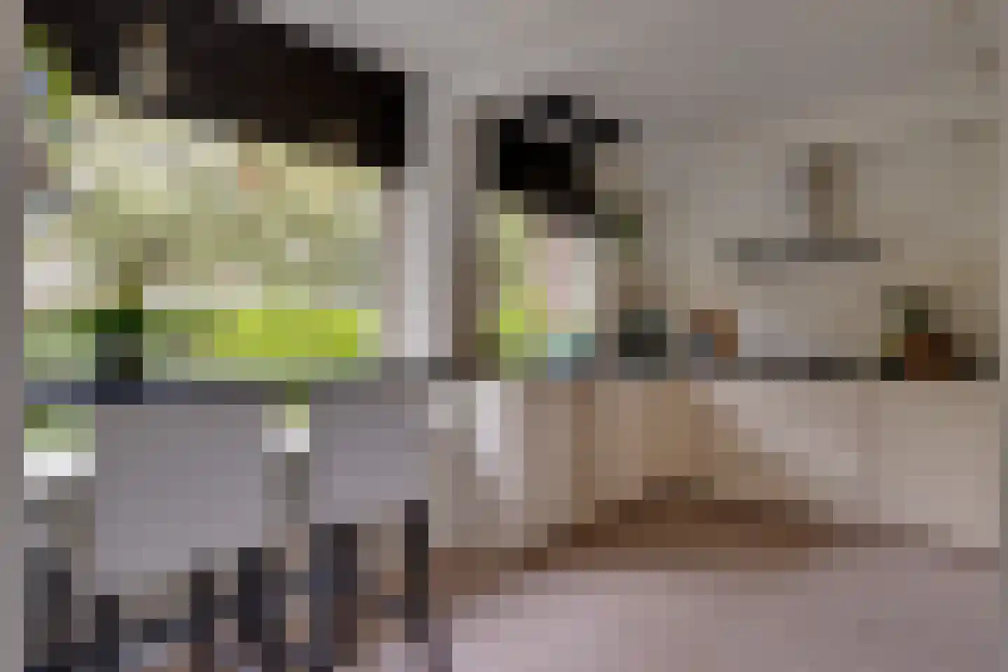 Eemlaan 16 Zwolle thumbnail 10