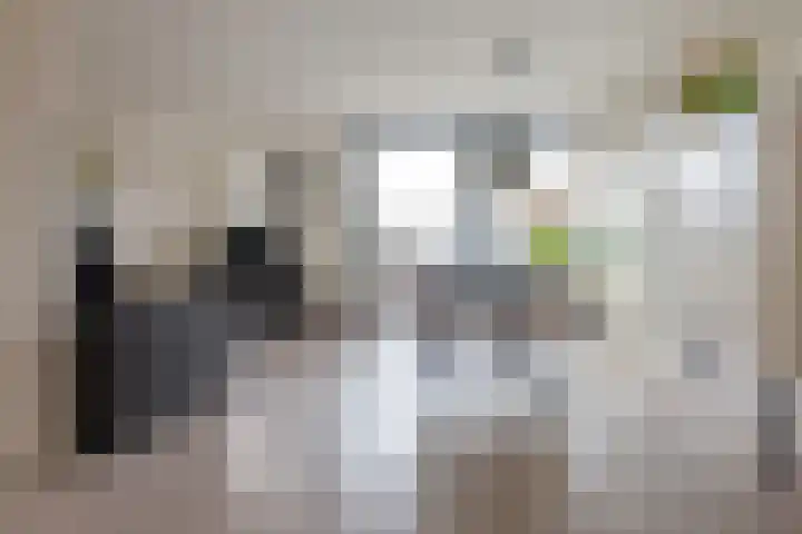 Eemlaan 16 Zwolle thumbnail 11
