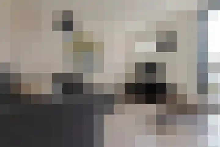 Eemlaan 16 Zwolle thumbnail 12