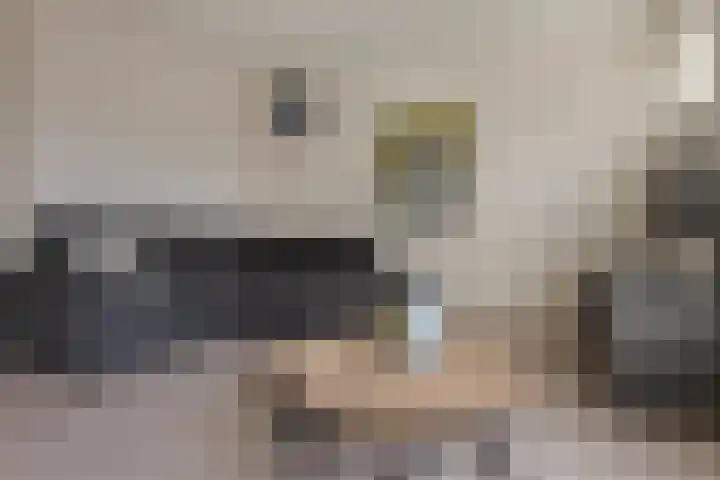 Eemlaan 16 Zwolle thumbnail 13
