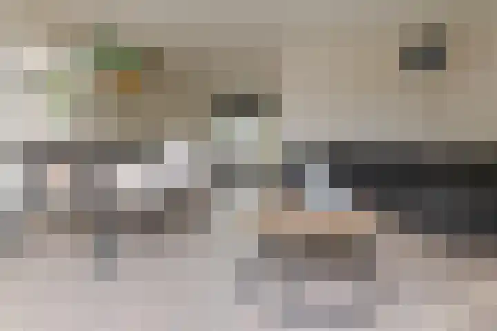 Eemlaan 16 Zwolle thumbnail 14