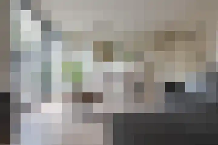 Eemlaan 16 Zwolle thumbnail 15