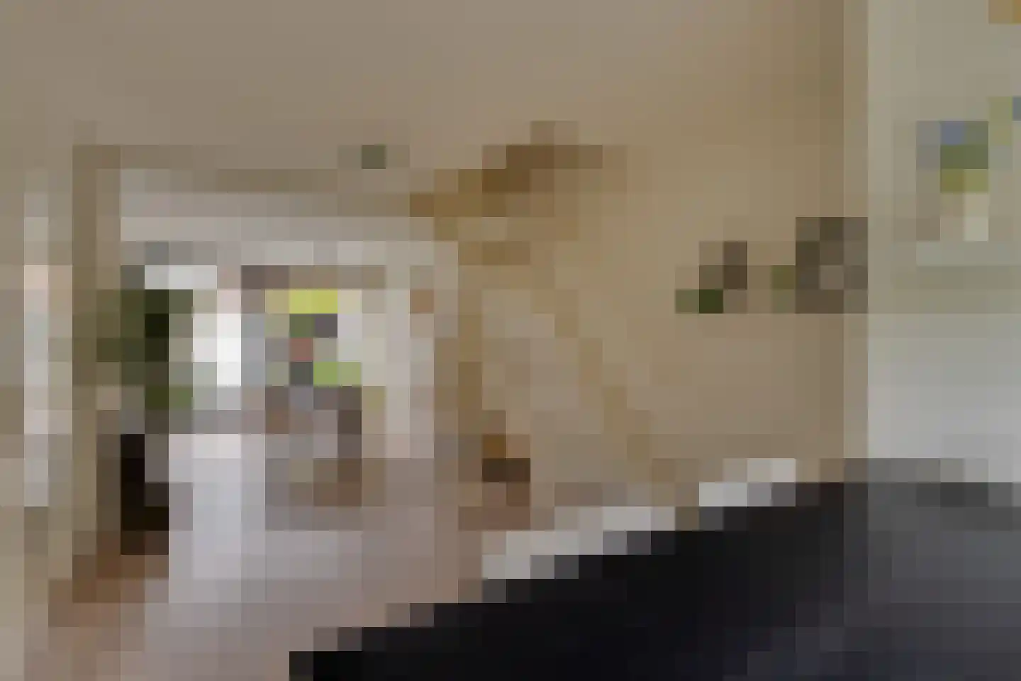 Eemlaan 16 Zwolle thumbnail 15