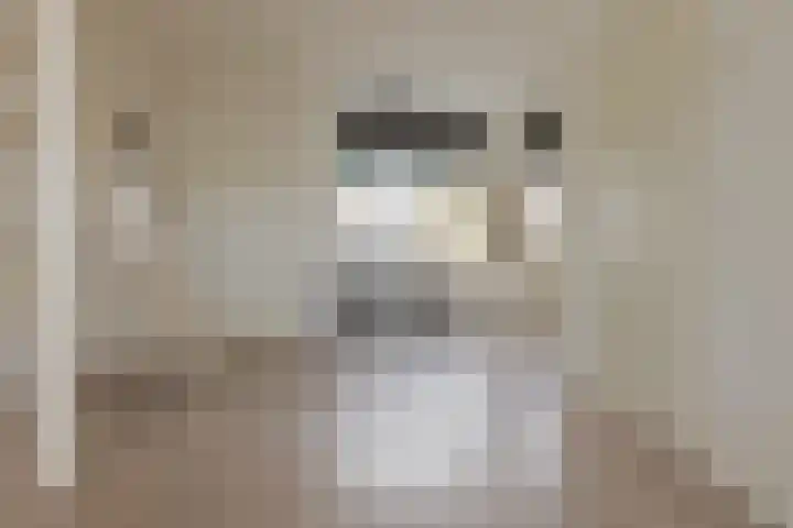Eemlaan 16 Zwolle thumbnail 17