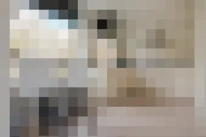 Eemlaan 16 Zwolle thumbnail 18