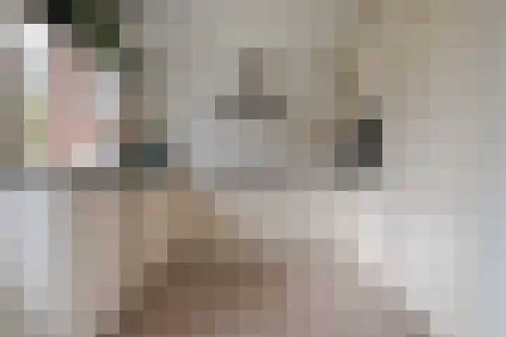 Eemlaan 16 Zwolle thumbnail 19