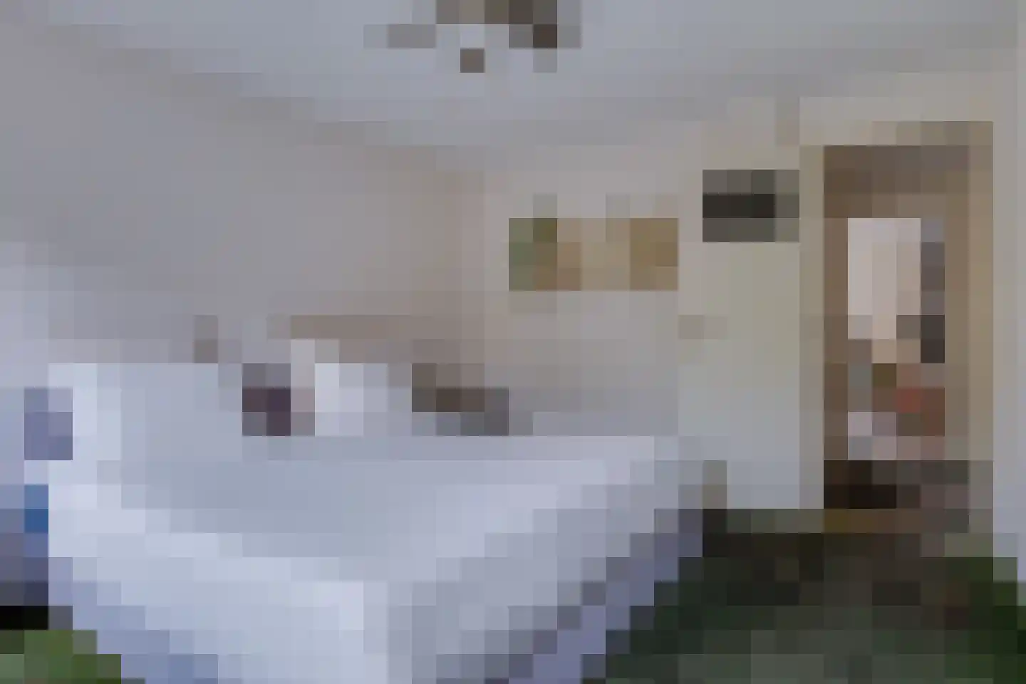Eemlaan 16 Zwolle thumbnail 22