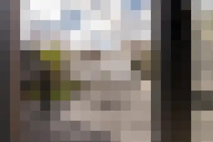 Eemlaan 16 Zwolle thumbnail 24