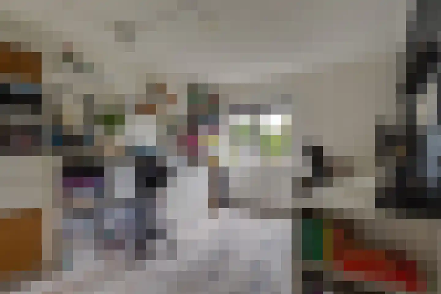 Eemlaan 16 Zwolle thumbnail 25