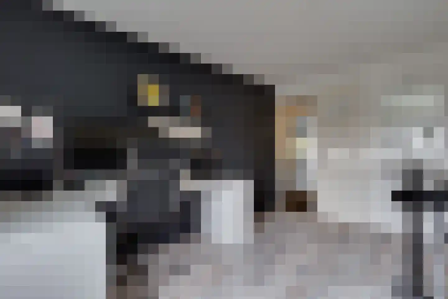 Eemlaan 16 Zwolle thumbnail 26
