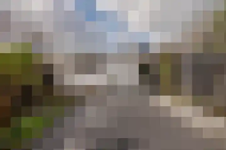 Eemlaan 16 Zwolle thumbnail 26