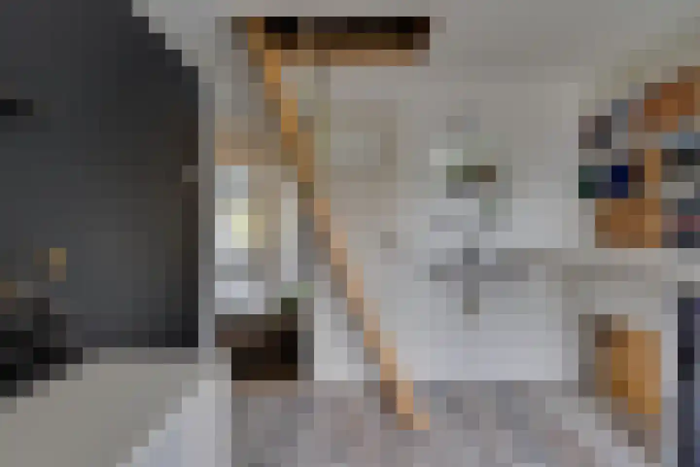 Eemlaan 16 Zwolle thumbnail 28