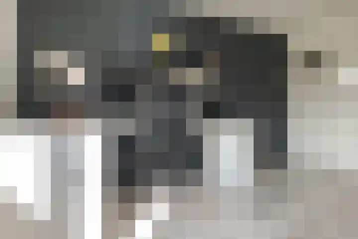 Eemlaan 16 Zwolle thumbnail 34