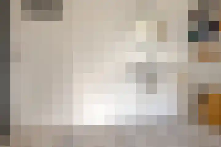 Eemlaan 16 Zwolle thumbnail 35