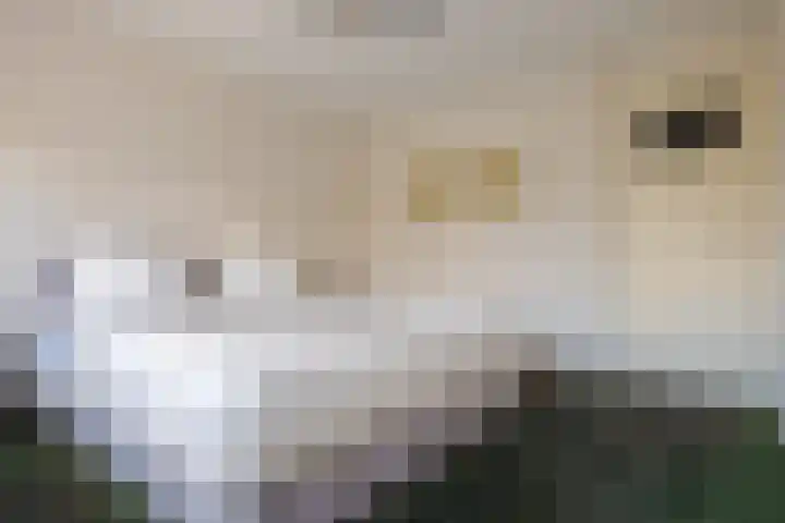 Eemlaan 16 Zwolle thumbnail 38