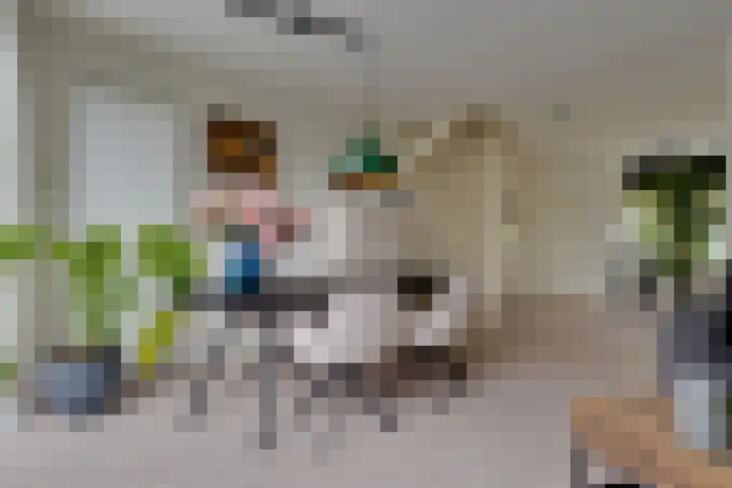 Eemlaan 16 Zwolle thumbnail 4