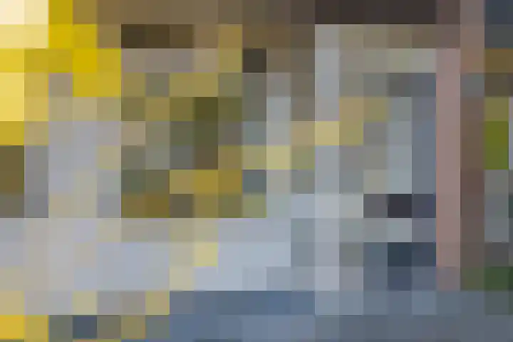 Eemlaan 16 Zwolle thumbnail 7