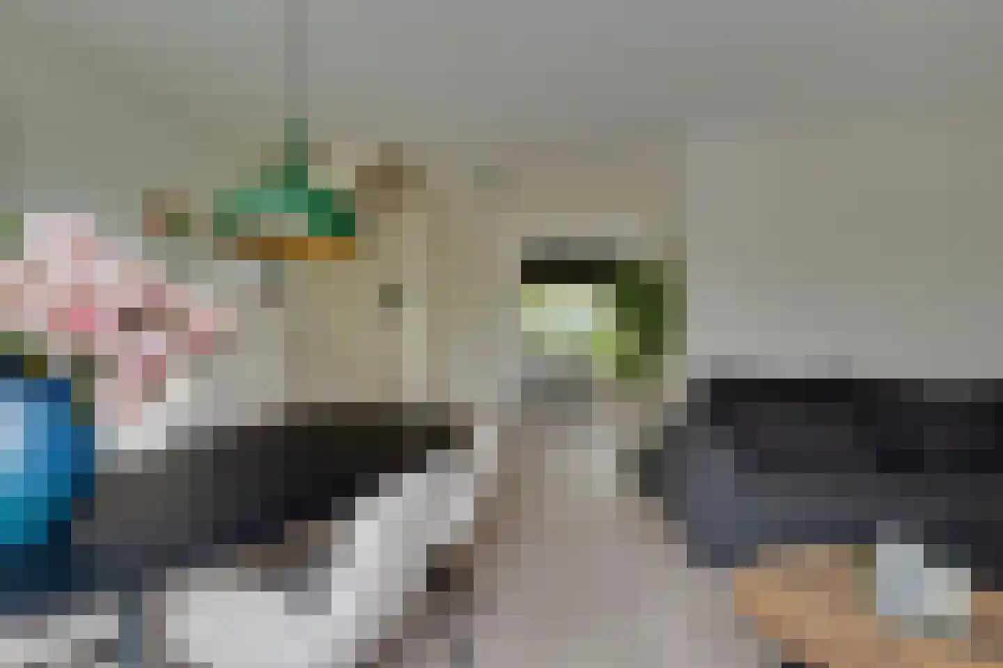 Eemlaan 16 Zwolle thumbnail 8