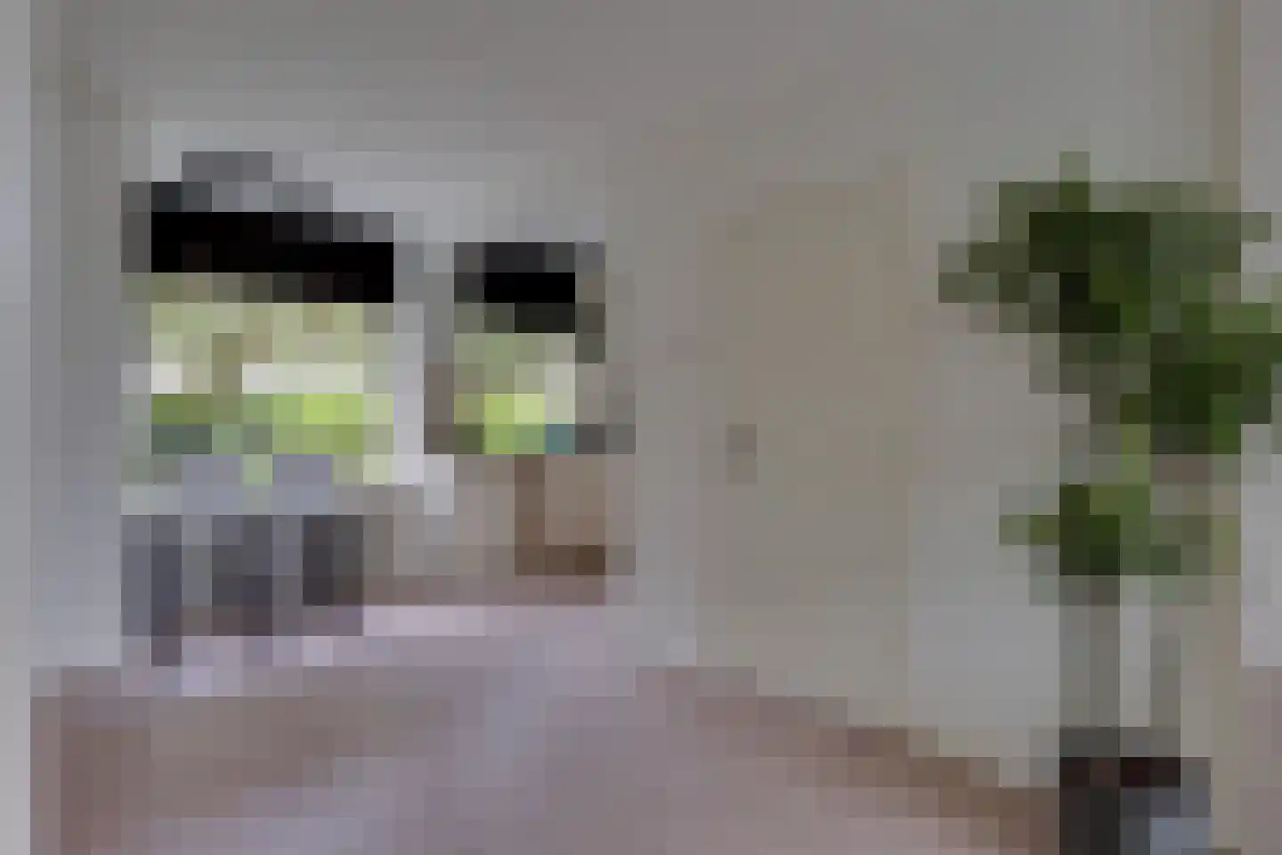 Eemlaan 16 Zwolle thumbnail 9