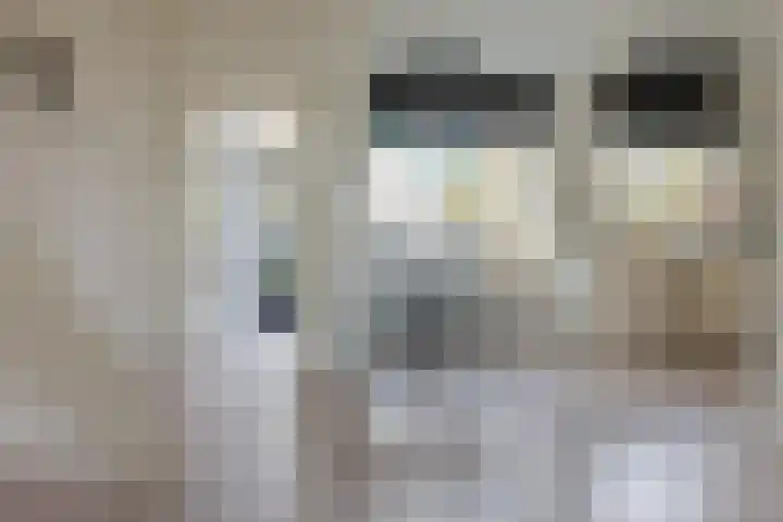 Eemlaan 16 Zwolle thumbnail 9