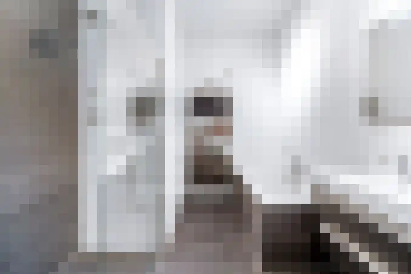 Eemlaan 29 Amersfoort thumbnail 21