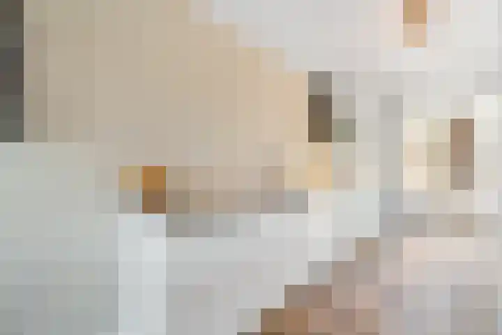 Eemlaan 35 Amersfoort thumbnail 11