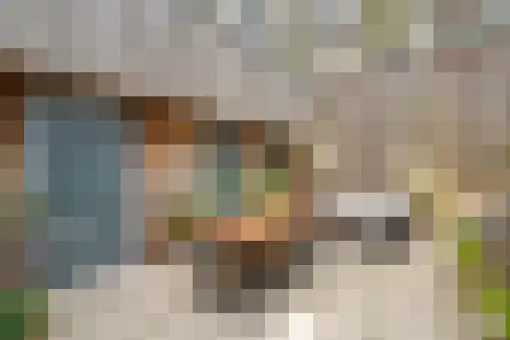 Eemlaan 35 Amersfoort thumbnail 23