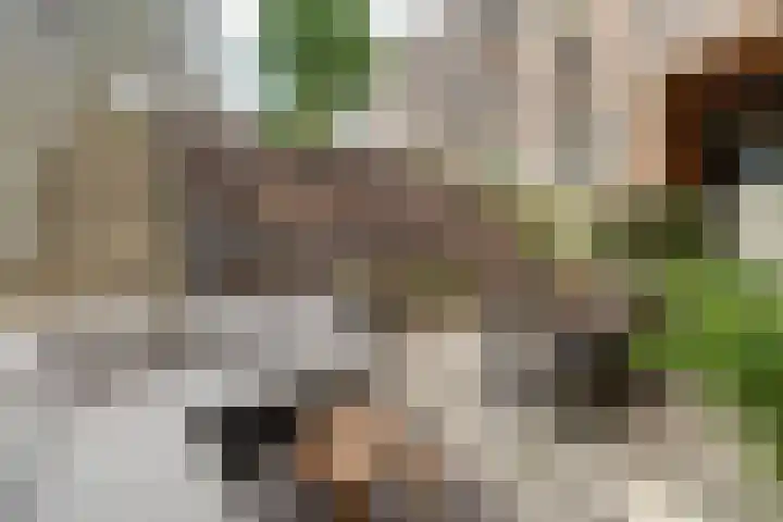 Eemlaan 35 Amersfoort thumbnail 24