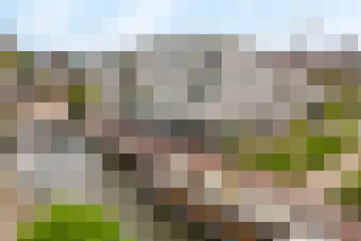 Eemlaan 35 Amersfoort thumbnail 31