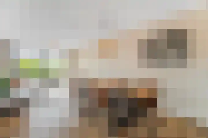 Eemlaan 35 Amersfoort thumbnail 4