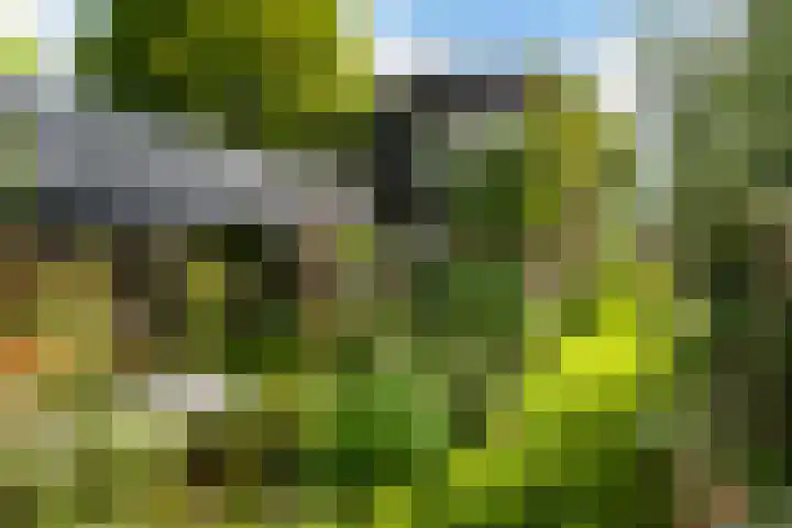Eemlaan 36 Zwolle thumbnail 29