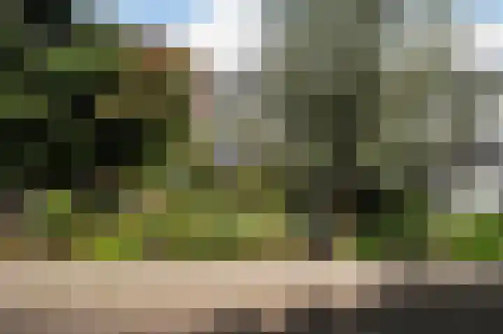 Eemlaan 36 Zwolle thumbnail 30