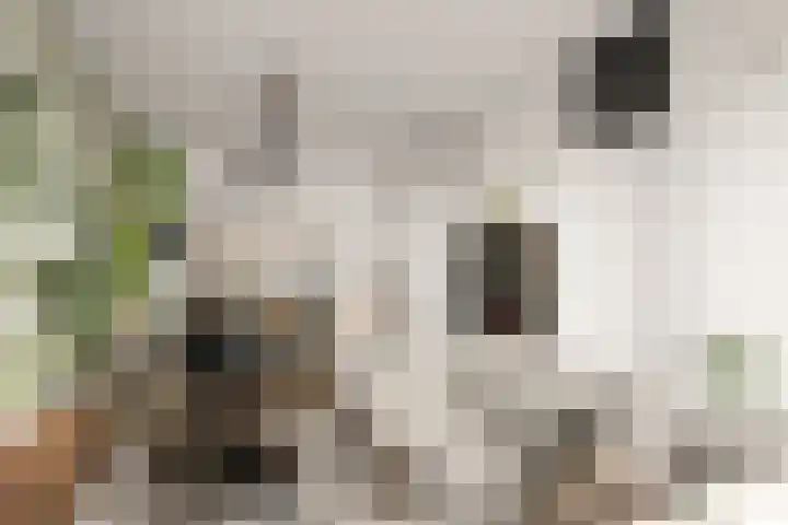 Eemlaan 9 Amersfoort thumbnail 10